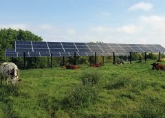Creșterea animalelor și culturilor sub panouri solare