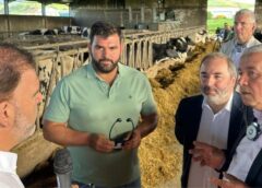 „Fără sprijinul european, am închide ferma”: povestea unei familii care crește peste 250 de vaci în Azore