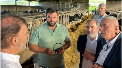 Europarlamentarul Daniel Buda în vizită la o fermă de vaci de lapte din Azore, Portugalia