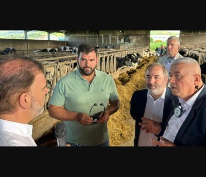„Fără sprijinul european, am închide ferma”: povestea unei familii care crește peste 250 de vaci în Azore