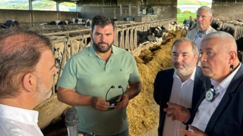 Europarlamentarul Daniel Buda în vizită la o fermă de vaci de lapte din Azore, Portugalia