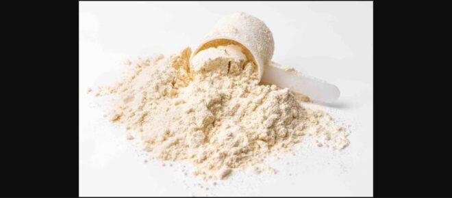 Pulbere de proteine din zer, ingredient lactat vizat de noile prețuri de referință europene